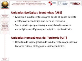 Unidades Ecológicas Económicas [UEE]
• Muestran los diferentes valores desde el punto de vista
ecológico y económico que tiene el territorio.
• Son espacios geográficos que muestran los valores
estratégicos ecológicos y económicos del territorio.
Unidades Homogéneas del Territorio [UIT]
• Resultan de la integración de las diferentes capas de los
factores físicos, biológicos y socioeconómicos
 