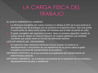 EL GASTO ENERGETICO HUMANO
 La eficiencia energética del cuerpo humano no rebasa el 20% de lo que produce lo
que significa que de la energía que se produce en el ejercicio físico solo una quinta
o cuarta parte se utiliza como trabajo útil mientras que el resto se pierde en calor.
 El gasto energético del organismo humano tiene un proceso especifico cuando el
cuerpo esta en reposo no varia el consumo de oxigeno gastando una cantidad
constante que pueda variar en función de diferentes factores.
LOS ESFUERZOS DEL ORGANISMIO
 El organismo esta realizando esfuerzos incluso cuando no produce un
desplazamiento o vencimiento de una resistencia en no pocos casos el gasto
energético proviene del mantenimiento de la postura.
ESFUERZO ESTATICO: es el que proviene principalmente del mantenimiento de
determinadas posturas.
ESFUERZO DINAMICO: es el esfuerzo proveniente de la realización de movimientos y
desplazamientos de peso o resistencia.
 