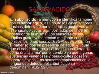 SABOR ACIDO El  sabor ácido  (a menudo se identifica también con el  sabor agrio ) es uno de los cinco sabores básicos detectado por las papilas gustativas de la lengua ubicadas a ambos lados de la parte posterior de la misma. Los sensores de las papilas gustativas detectan mediante canales iónicos los iones oxonio (H3O+) que se forman al haber ácidos en presencia de agua. Al igual que el sabor amargo, el ácido es considerado como una 'alarma' por el cerebro ya que algunas sustancias venenosas y perjudiciales poseen sabores ácidos. Los sensores específicos en la lengua que detectan el sabor ácido se denominan TAS2R.2 3 