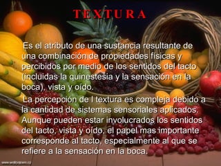 TEXTURA Es el atributo de una sustancia resultante de una combinación de propiedades físicas y percibidos por medio de los sentidos del tacto (incluidas la quinestesia y la sensación en la boca), vista y oído.  La percepción de l textura es compleja debido a la cantidad de sistemas sensoriales aplicados. Aunque pueden estar involucrados los sentidos del tacto, vista y oído, el papel mas importante corresponde al tacto, especialmente al que se refiere a la sensación en la boca. 