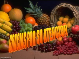GRACIAS POR SU ATENCION 