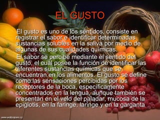 EL GUSTO El gusto es uno de los sentidos, consiste en registrar el sabor e identificar determinadas sustancias solubles en la saliva por medio de algunas de sus cualidades químicas.  El sabor se percibe mediante el sentido del gusto, el cual posee la función de identificar las diferentes sustancias químicas que se encuentran en los alimentos. El gusto se define como las sensaciones percibidas por los receptores de la boca, específicamente concentrados en la lengua, aunque también se presentan en el velo del paladar, mucosa de la epiglotis, en la faringe, laringe y en la garganta  