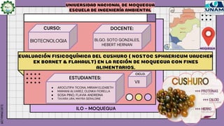 SLIDESMANIA.COM
EVALUACIÓN FISICOQUÍMICA DEL CUSHURO ( NOSTOC SPHAERICUM VAUCHER
EX BORNET & FLAHAULT) EN LA REGIÓN DE MOQUEGUA CON FINES
ALIMENTARIOS.
UNIVERSIDAD NACIONAL DE MOQUEGUA
ESCUELA DE INGENIERÍA AMBIENTAL
BIOTECNOLOGIA
CURSO:
BLGO. SOTO GONZALES,
HEBERT HERNAN
DOCENTE:
● AROCUTIPA TICONA, MIRIAM ELIZABETH
● MAMANI ALVAREZ, OLENKA FIORELLA
● SOSA PINO, FLAVIA ANDREINA
● TAVARA LIRA, MAYRA GERALDINE
ESTUDIANTES:
ILO - MOQUEGUA
VII
CICLO:
MOQUEGUA
 