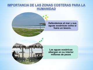 Las aguas oceánicas
albergan en su interior
millones de peces
Defendemos el mar y sus
aguas oceánicas como si
fuera un tesoro.
 
