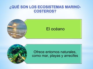 El océano
Ofrece entornos naturales,
como mar, playas y arrecifes
 