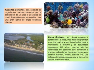 Arrecifes Coralinos: son colonias de
organismos marinos formados por la
asociación de un alga y un pólipo de
coral. Asociados con los corales, vive
una gran gama de algas coralinas,
plantas
Mares Costeros: son áreas entorno a
continentes e islas, muy ricas en plancton
y en vida marina y muy importantes para la
recreación, el turismo y las actividades
pesqueras. Allí viven muchas de las
variedades de pescado que alimentan a
grandes poblaciones humanas, como atún,
sardina, salmón, robalo, corvina, etc. Las
ballenas jorobadas suelen dar a luz en los
cálidos mares costeros.
 