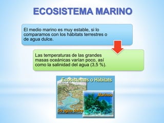 El medio marino es muy estable, si lo
comparamos con los hábitats terrestres o
de agua dulce.
Las temperaturas de las grandes
masas oceánicas varían poco, así
como la salinidad del agua (3,5 %).
 