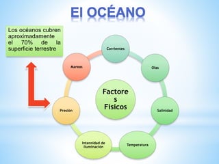Los océanos cubren
aproximadamente
el 70% de la
superficie terrestre
Factore
s
Físicos
Corrientes
Olas
Salinidad
Temperatura
Intensidad de
Iluminación
Presión
Mareas
 