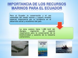 Para el Ecuador la conservación y el uso
sostenible del medio marino y costero revisten
especial importancia por su incidencia en el
desarrollo social y económico del país
La zona costera tiene 1.480 km2 del
Manglar, vegetación de especial
importancia para la conservación de la
biodiversidad y sustento de la industria
camaronera.
 