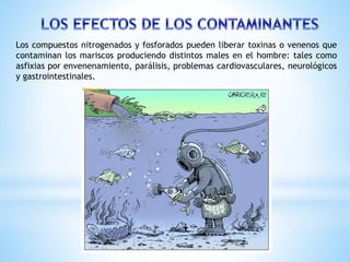 Los compuestos nitrogenados y fosforados pueden liberar toxinas o venenos que
contaminan los mariscos produciendo distintos males en el hombre: tales como
asfixias por envenenamiento, parálisis, problemas cardiovasculares, neurológicos
y gastrointestinales.
 