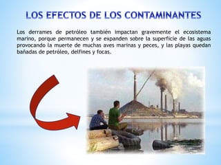 Los derrames de petróleo también impactan gravemente el ecosistema
marino, porque permanecen y se expanden sobre la superficie de las aguas
provocando la muerte de muchas aves marinas y peces, y las playas quedan
bañadas de petróleo, delfines y focas.
 