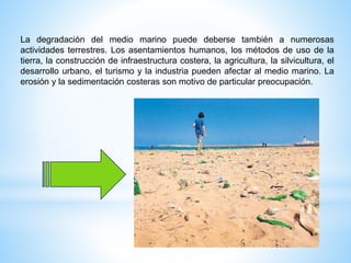 La degradación del medio marino puede deberse también a numerosas
actividades terrestres. Los asentamientos humanos, los métodos de uso de la
tierra, la construcción de infraestructura costera, la agricultura, la silvicultura, el
desarrollo urbano, el turismo y la industria pueden afectar al medio marino. La
erosión y la sedimentación costeras son motivo de particular preocupación.
 