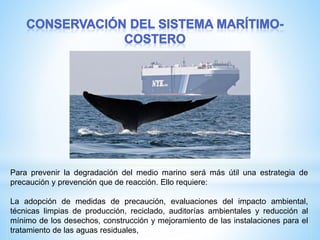 Para prevenir la degradación del medio marino será más útil una estrategia de
precaución y prevención que de reacción. Ello requiere:
La adopción de medidas de precaución, evaluaciones del impacto ambiental,
técnicas limpias de producción, reciclado, auditorías ambientales y reducción al
mínimo de los desechos, construcción y mejoramiento de las instalaciones para el
tratamiento de las aguas residuales,
 