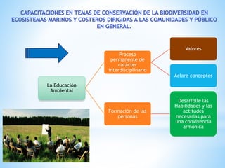 La Educación
Ambiental
Proceso
permanente de
carácter
interdisciplinario
Valores
Aclare conceptos
Formación de las
personas
Desarrolle las
Habilidades y las
actitudes
necesarias para
una convivencia
armónica
 