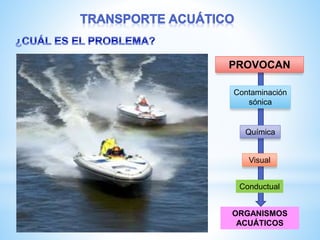 PROVOCAN
Contaminación
sónica
Química
Visual
Conductual
ORGANISMOS
ACUÁTICOS
 