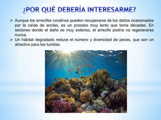  Aunque los arrecifes coralinos pueden recuperarse de los daños ocasionados
por la caída de anclas, es un proceso muy lento que toma décadas. En
sectores donde el daño es muy extenso, el arrecife podría no regenerarse
nunca.
 Un hábitat degradado reduce el número y diversidad de peces, que son un
atractivo para los turistas.
 