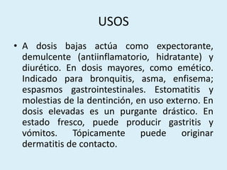 USOS
• A dosis bajas actúa como expectorante,
demulcente (antiinflamatorio, hidratante) y
diurético. En dosis mayores, como emético.
Indicado para bronquitis, asma, enfisema;
espasmos gastrointestinales. Estomatitis y
molestias de la dentinción, en uso externo. En
dosis elevadas es un purgante drástico. En
estado fresco, puede producir gastritis y
vómitos. Tópicamente puede originar
dermatitis de contacto.
 