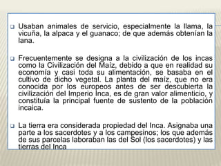  Usaban animales de servicio, especialmente la llama, la 
vicuña, la alpaca y el guanaco; de que además obtenían la 
lana. 
 Frecuentemente se designa a la civilización de los incas 
como la Civilización del Maíz, debido a que en realidad su 
economía y casi toda su alimentación, se basaba en el 
cultivo de dicho vegetal. La planta del maíz, que no era 
conocida por los europeos antes de ser descubierta la 
civilización del Imperio Inca, es de gran valor alimenticio, y 
constituía la principal fuente de sustento de la población 
incaica. 
 La tierra era considerada propiedad del Inca. Asignaba una 
parte a los sacerdotes y a los campesinos; los que además 
de sus parcelas laboraban las del Sol (los sacerdotes) y las 
tierras del Inca 
 