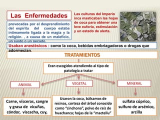 provocadas por el desprendimiento 
del espíritu del cuerpo estaba 
íntimamente ligada a la magia y la 
religión. , a causa de un maleficio, 
un susto o un pecado. 
Las culturas del Imperio 
inca masticaban las hojas 
de coca para obtener una 
leve euforia, estimulación 
y un estado de alerta. 
Las Enfermedades 
Usaban anestésicos : como la coca, bebidas embriagadoras o drogas que 
adormecían. 
TRATAMIENTOS 
ANIMAL VEGETAL MINERAL 
Carne, vísceras, sangre 
y grasa de vicuñas, 
cóndor, viscacha, cuy, 
Usaron la coca, bálsamos de 
resinas, corteza del árbol conocido 
como “cinchona”, polvo de raíz de 
huachanca; hojas de la “mactellu” 
sulfato cúprico, 
sulfuro de arsénico, 
arcilla 
Eran escogidos atendiendo al tipo de 
patología a tratar 
 