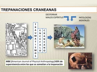 TREPANACIONES CRANEANAS 
T 
R 
A 
U 
M 
A 
T 
I 
S 
M 
O 
S 
E 
N 
C 
E 
F 
A 
L 
O 
C 
R 
A 
N 
E 
A 
N 
O 
PATOLOGÍAS 
MENTALES 
DESTERRAR 
MALOS ESPÍRITUS 
MBE (American Journal of Physical Anthropology) 83% de 
supervivencia entre los que se sometían a la trepanación 
 