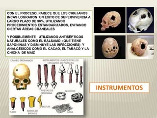 CON EL PROCESO, PARECE QUE LOS CIRUJANOS 
INCAS LOGRARON UN ÉXITO DE SUPERVIVENCIA A 
LARGO PLAZO DE 90%, UTILIZANDO 
PROCEDIMIENTOS ESTANDARIZADOS, EVITANDO 
CIERTAS ÁREAS CRANEALES 
Y POSIBLEMENTE UTILIZANDO ANTISÉPTICOS 
NATURALES COMO EL BÁLSAMO (QUE TIENE 
SAPONINAS Y DISMINUYE LAS INFECCIONES) Y 
ANALGÉSICOS COMO EL CACAO, EL TABACO Y LA 
CHICHA DE MAÍZ 
INSTRUMENTOS 
 