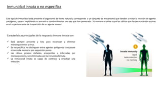 Inmunidad innata o no especifica
Este tipo de inmunidad está presente el organismo de forma natural y corresponde a un conjunto de mecanismo que tienden a evitar la invasión de agente
patógenos, ya sea impidiendo su entrada o combatiéndolos una vez que han penetrado. Su nombre se debe a que las células que la ejecutan están activas
en el organismo ante de la aparición de un agente invasor
Características principales de la respuesta inmune innata son:
 Está siempre presente y lista para reconocer y eliminar
microorganismos y virus.
 Es inespecífica, no distinguen entre agentes patógenos y no posee
ni necesita memoria por exposición previa.
 Las células propias dañadas, envejecidas o infectadas por
microorganismo, son eliminadas por la inmunidad innata.
 La inmunidad innata es capaz de controlar y erradicar una
infección
 