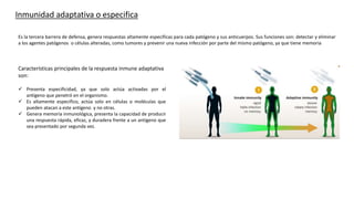 Inmunidad adaptativa o especifica
Es la tercera barrera de defensa, genera respuestas altamente especificas para cada patógeno y sus anticuerpos. Sus funciones son: detectar y eliminar
a los agentes patógenos o células alteradas, como tumores y prevenir una nueva infección por parte del mismo patógeno, ya que tiene memoria
Características principales de la respuesta inmune adaptativa
son:
 Presenta especificidad, ya que solo actúa activadas por el
antígeno que penetró en el organismo.
 Es altamente especifico, actúa solo en células o moléculas que
pueden atacan a este antígeno y no otras.
 Genera memoria inmunológica, presenta la capacidad de producir
una respuesta rápida, eficaz, y duradera frente a un antígeno que
sea presentado por segunda vez.
 
