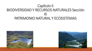 Capítulo II
BIODIVERSIDAD Y RECURSOS NATURALES Sección
III
PATRIMONIO NATURAL Y ECOSISTEMAS
 
