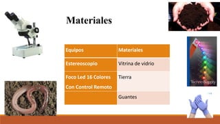 Equipos Materiales
Estereoscopio Vitrina de vidrio
Foco Led 16 Colores
Con Control Remoto
Tierra
Guantes
Materiales
 