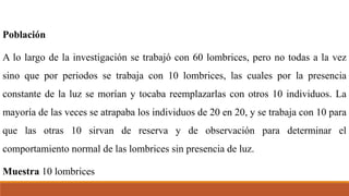 Población
A lo largo de la investigación se trabajó con 60 lombrices, pero no todas a la vez
sino que por periodos se trabaja con 10 lombrices, las cuales por la presencia
constante de la luz se morían y tocaba reemplazarlas con otros 10 individuos. La
mayoría de las veces se atrapaba los individuos de 20 en 20, y se trabaja con 10 para
que las otras 10 sirvan de reserva y de observación para determinar el
comportamiento normal de las lombrices sin presencia de luz.
Muestra 10 lombrices
 