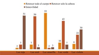 2
7
55
10
87
50
2
43
22
51
3 3
7
30
Luz roja Luz azul Luz amarilla Luz verde Luz violeta
Retorcer todo el cuerpo Retorcer solo la cabeza
Inmovilidad
 