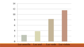 0
2
4
6
8
10
12
14
Luz amarilla Luz azul Luz verde Luz violeta
 