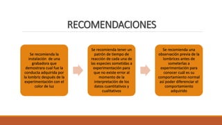 RECOMENDACIONES
Se recomienda la
instalación de una
grabadora que
demostrara cual fue la
conducta adquirida por
la lombriz después de la
experimentación con el
color de luz
Se recomienda tener un
patrón de tiempo de
reacción de cada una de
las especies sometidas a
experimentación para
que no existe error al
momento de la
interpretación de los
datos cuantitativos y
cualitativos
Se recomienda una
observación previa de la
lombrices antes de
someterlas a
experimentación para
conocer cuál es su
comportamiento normal
así poder diferenciar el
comportamiento
adquirido
 
