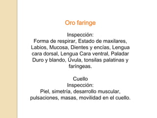 Oro faringe
Inspección:
Forma de respirar, Estado de maxilares,
Labios, Mucosa, Dientes y encías, Lengua
cara dorsal, Lengua Cara ventral, Paladar
Duro y blando, Úvula, tonsilas palatinas y
faríngeas.
Cuello
Inspección:
Piel, simetría, desarrollo muscular,
pulsaciones, masas, movilidad en el cuello.
 