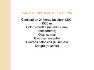CARACTERÍSTICAS DE LA ORINA
Cantidad en 24 horas (adulto)=1200-
1500 ml
Color, claridad (amarillo claro,
transparente)
Olor: normal
Glucosa (ausente)
Cuerpos cetónicos (ausentes)
Sangre (ausente)
 