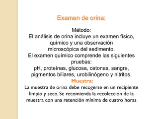 Examen de orina:
Método:
El análisis de orina incluye un examen físico,
químico y una observación
microscópica del sedimento.
El examen químico comprende las siguientes
pruebas:
pH, proteínas, glucosa, cetonas, sangre,
pigmentos biliares, urobilinógeno y nitritos.
Muestra:
La muestra de orina debe recogerse en un recipiente
limpio y seco. Se recomienda la recolección de la
muestra con una retención mínima de cuatro horas
 