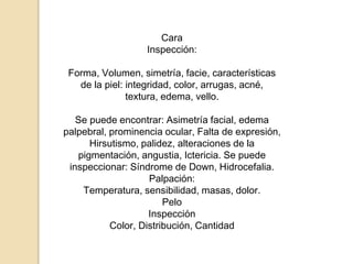 Cara
Inspección:
Forma, Volumen, simetría, facie, características
de la piel: integridad, color, arrugas, acné,
textura, edema, vello.
Se puede encontrar: Asimetría facial, edema
palpebral, prominencia ocular, Falta de expresión,
Hirsutismo, palidez, alteraciones de la
pigmentación, angustia, Ictericia. Se puede
inspeccionar: Síndrome de Down, Hidrocefalia.
Palpación:
Temperatura, sensibilidad, masas, dolor.
Pelo
Inspección
Color, Distribución, Cantidad
 