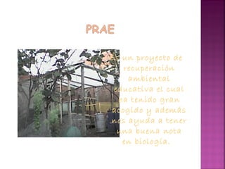 Es un proyecto de
recuperación
ambiental
educativa el cual
ha tenido gran
acogido y además
nos ayuda a tener
una buena nota
en biología.
 