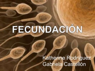 Katherine Rodríguez
Gabriela Castellón
 