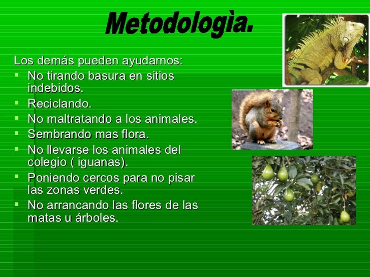 Fauna & Flora