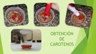 OBTENCIÓN
DE
CAROTENOS
 