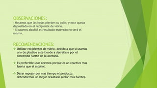 OBSERVACIONES:
- Notamos que las hojas pierden su color, y este queda
depositado en el recipiente de vidrio.
- Si usamos alcohol el resultado esperado no será el
mismo.
RECOMENDACIONES:
 Utilizar recipientes de vidrio, debido a que si usamos
uno de plástico este tiende a derretirse por el
contenido fuerte de la acetona.
 Es preferible usar acetona porque es un reactivo mas
fuerte que el alcohol.
 Dejar reposar por mas tiempo el producto,
obtendremos un mejor resultado (color mas fuerte).
 