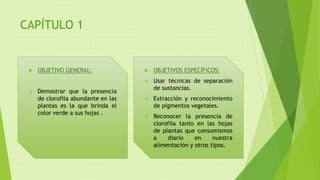 CAPÍTULO 1
 OBJETIVO GENERAL:
 Demostrar que la presencia
de clorofila abundante en las
plantas es la que brinda el
color verde a sus hojas .
 OBJETIVOS ESPECÍFICOS:
 Usar técnicas de separación
de sustancias.
 Extracción y reconocimiento
de pigmentos vegetales.
 Reconocer la presencia de
clorofila tanto en las hojas
de plantas que consumismos
a diario en nuestra
alimentación y otros tipos.
 