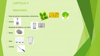 CAPITULO 4
Materiales:
 Hojas de plantas ornamentales y alimenticias
 Acetona
 Recipiente de plástico y de vidrio
 Piedra
 Vasos
 Cuchillo
 