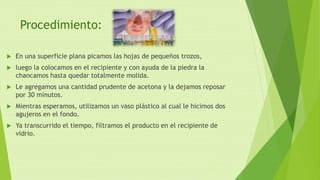 Procedimiento:
 En una superficie plana picamos las hojas de pequeños trozos,
 luego la colocamos en el recipiente y con ayuda de la piedra la
chancamos hasta quedar totalmente molida.
 Le agregamos una cantidad prudente de acetona y la dejamos reposar
por 30 minutos.
 Mientras esperamos, utilizamos un vaso plástico al cual le hicimos dos
agujeros en el fondo.
 Ya transcurrido el tiempo, filtramos el producto en el recipiente de
vidrio.
 
