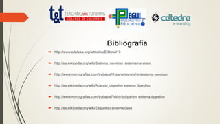 Bibliografía
 http://www.eduteka.org/articulos/Editorial19
 http://es.wikipedia.org/wiki/Sistema_nervioso sistema nervioso
 http://www.monografias.com/trabajos11/sisne/sisne.shtmlsistema nervioso
 http://es.wikipedia.org/wiki/Aparato_digestivo sistema digestivo
 http://www.monografias.com/trabajos7/sidiy/sidiy.shtml sistema digestivo
 http://es.wikipedia.org/wiki/Esqueleto sistema ósea
 