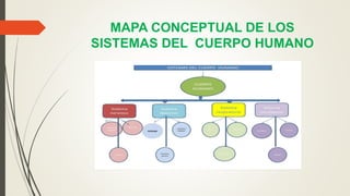 MAPA CONCEPTUAL DE LOS
SISTEMAS DEL CUERPO HUMANO
 