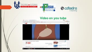 Video en you tube
 
