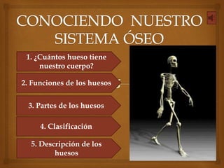 5. Descripción de los
huesos
1. ¿Cuántos hueso tiene
nuestro cuerpo?
4. Clasificación
3. Partes de los huesos
2. Funciones de los huesos
 