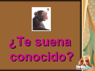 ¿Te suena conocido? 